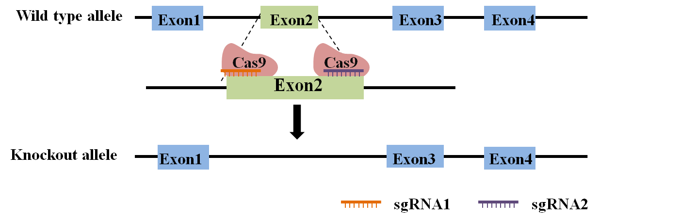 圖片關鍵詞 圖片關鍵詞