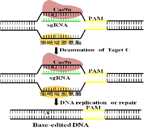 圖片關鍵詞 圖片關鍵詞