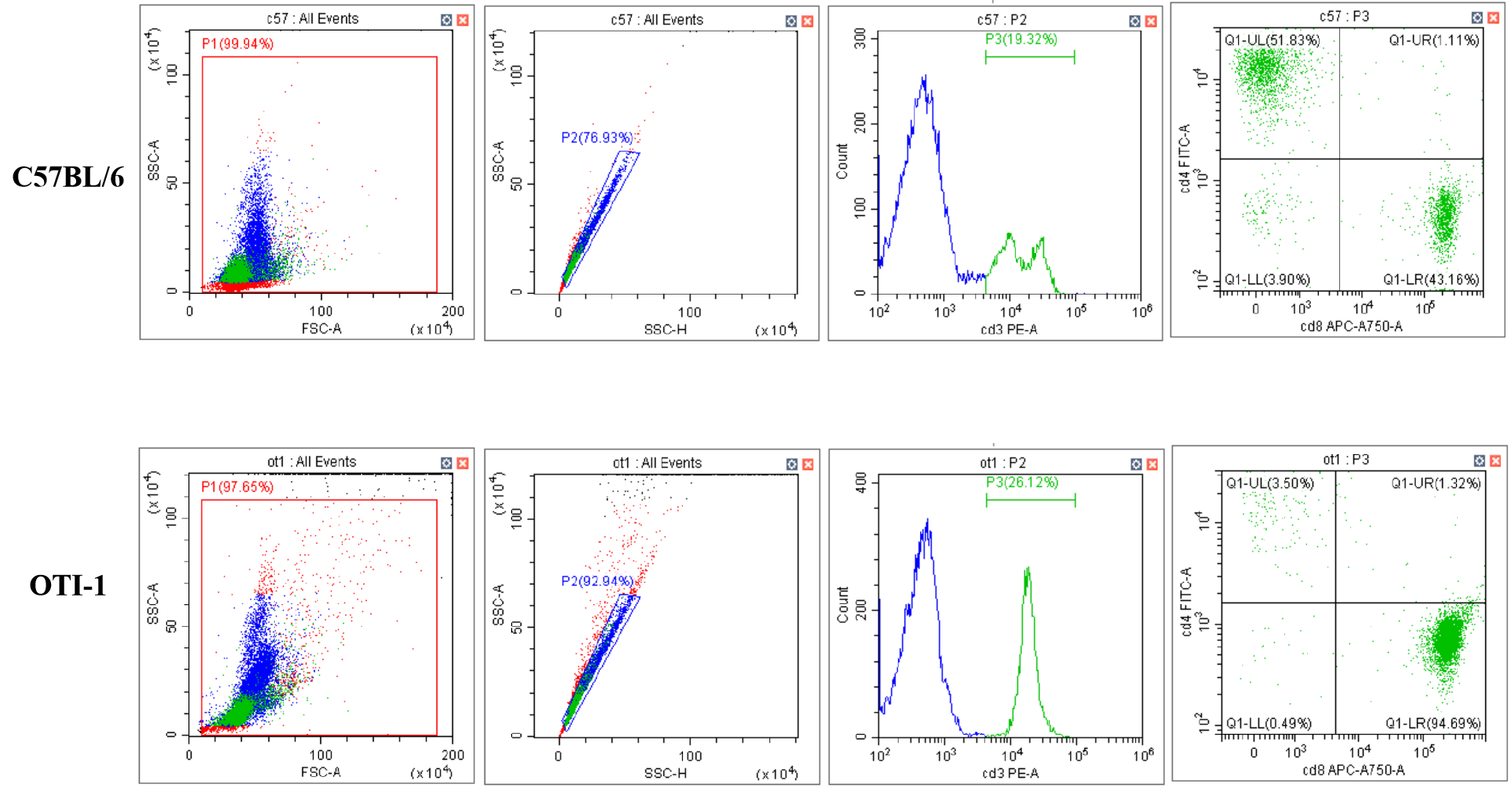 圖片關鍵詞 圖片關鍵詞