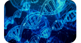 基因編輯技術平臺